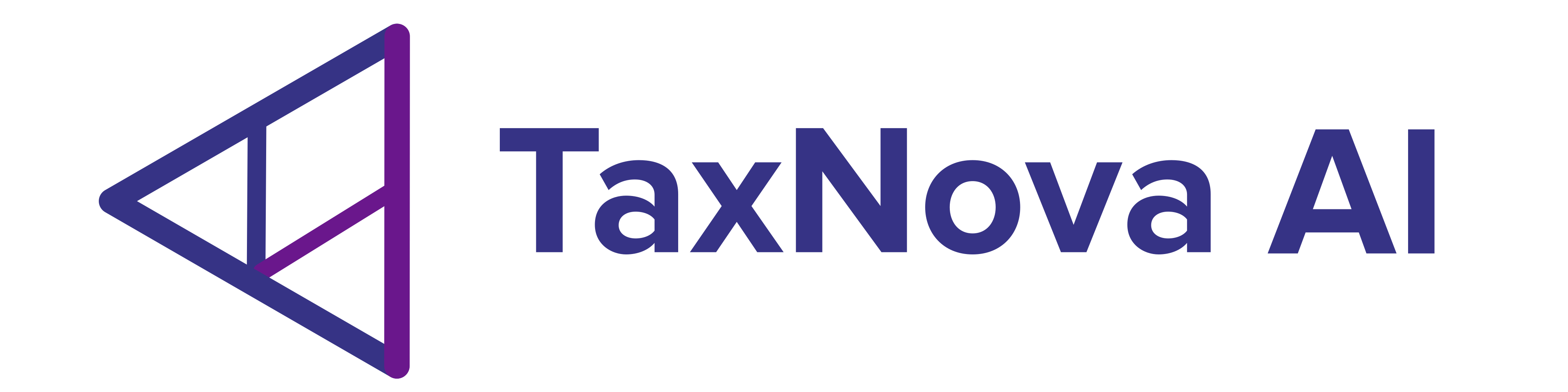 TaxNova AI